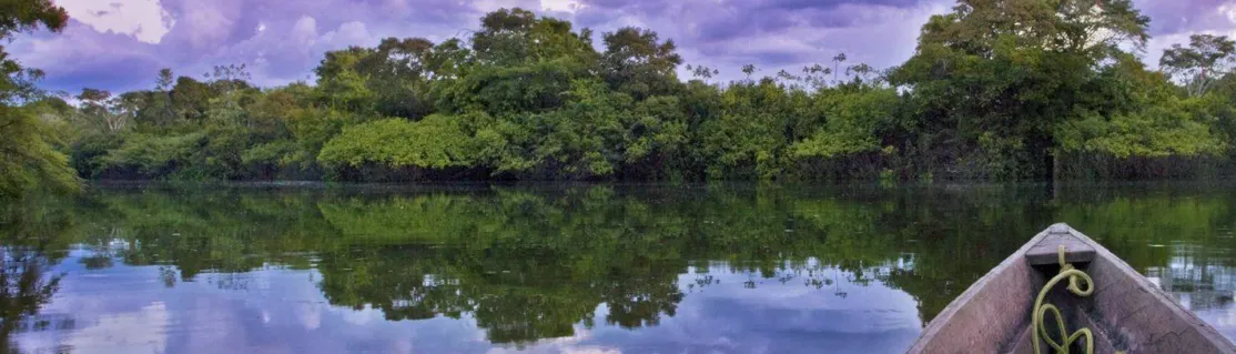 Quico Taronjí en la Amazonia