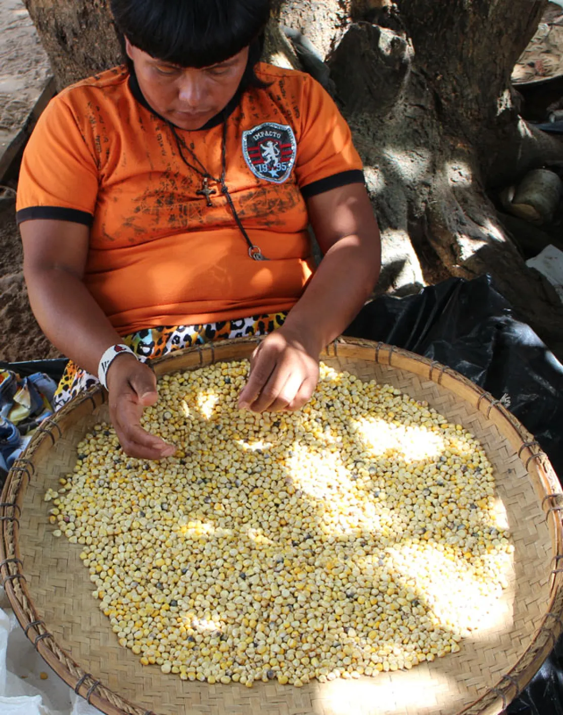 Mato Grosso (Brasil) Foto Francisco Borges/Manos Unidas