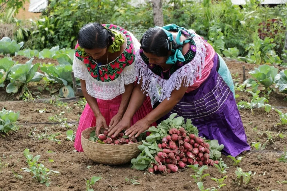 Mujeres, México. Foto: Manos Unidas/Javier Mármol