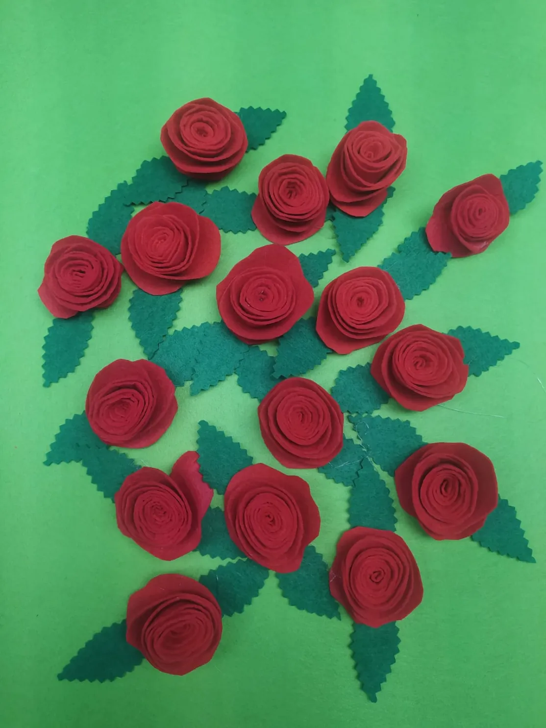Rosas Solidarias