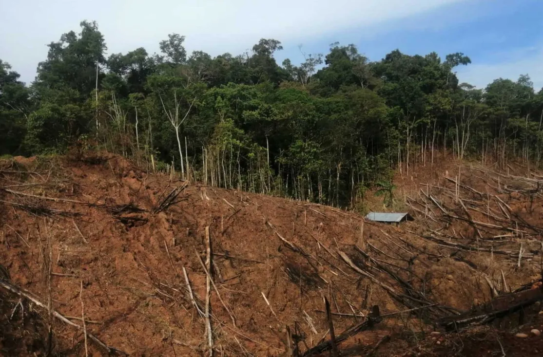 Narcotráfico en Amazonía Perú - Manos Unidas - Foto Instituto del Bien Común