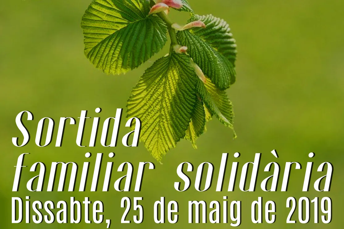 Salida familiar solidaria