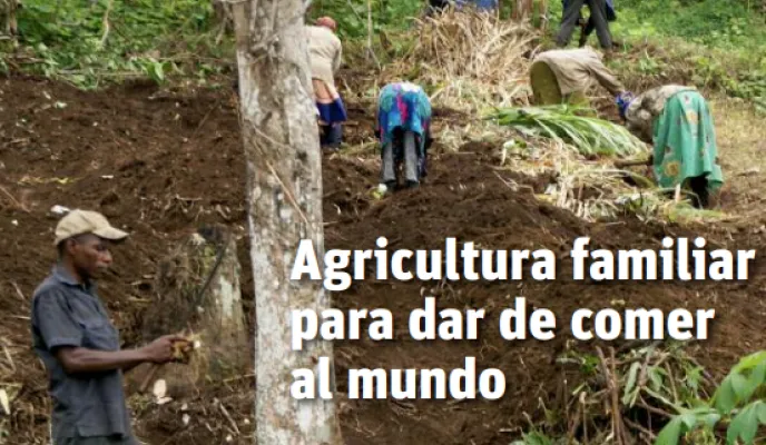Revista de Manos Unidas nº 194