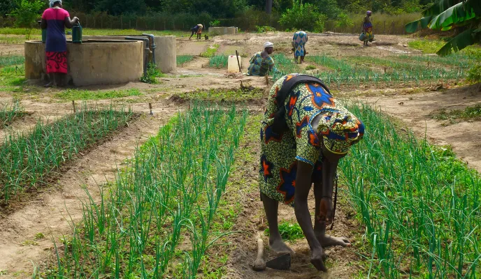 AECID Senegal 2014