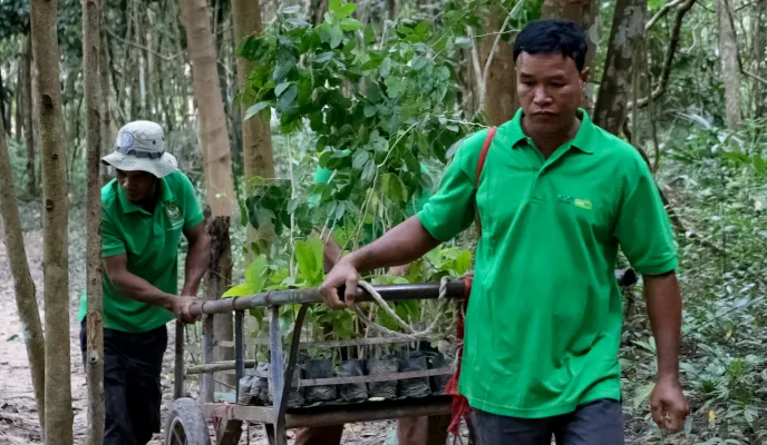 Mejora de la concienciación y activismo ecológico de la comunidad camboyana