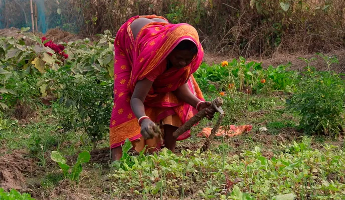 Mejora de la seguridad alimentaria y agricultura orgánica en Purba Bardhaman