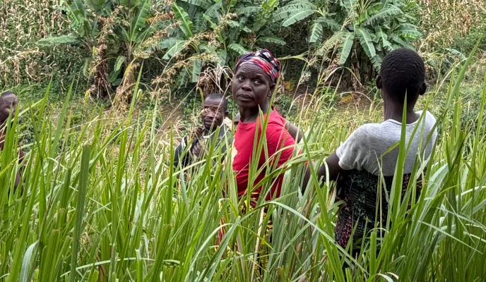Promoción del uso sostenible del ecosistema terrestre en Mzuzu