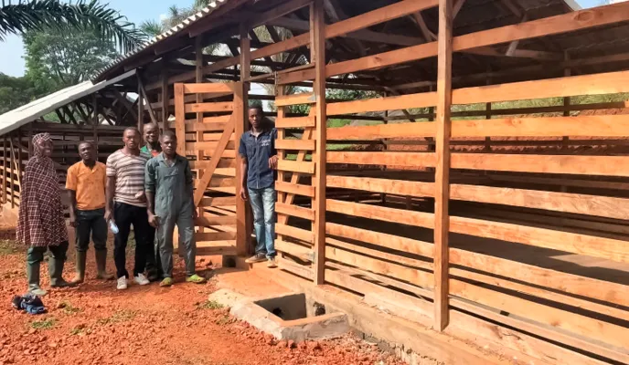 2026: Mejora de la productividad y comercial agro-ganadera, en Foumban 