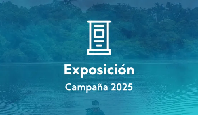 Campaña 2025 - Exposición
