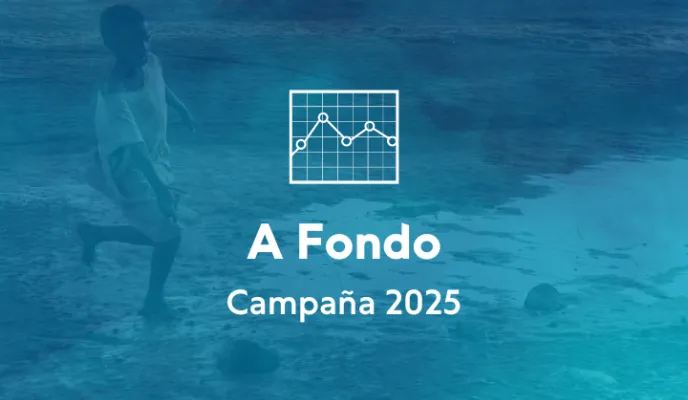 Campaña 2025 - Informe a Fondo