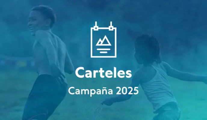 Campaña 2025 - Carteles