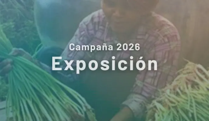 Campaña 2026 - Exposición