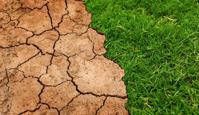 Cumbre sobre el Clima de las Naciones Unidas