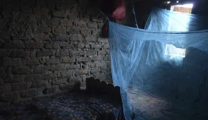 Manos Unidas - Día Mundial del Paludismo 2024 (25 de abril) - Una red antimosquitos cubre una ventana - Imagen: Uganda | Myriam Sagastizabal