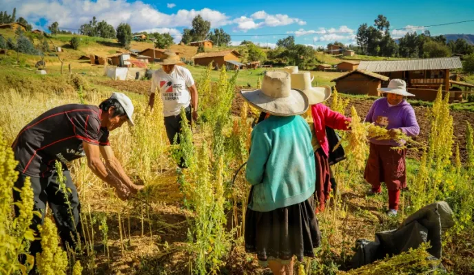 Manos Unidas - Dos programas para impulsar la calidad de vida en Perú y Ecuador - Imagen: CEDEPAS Norte