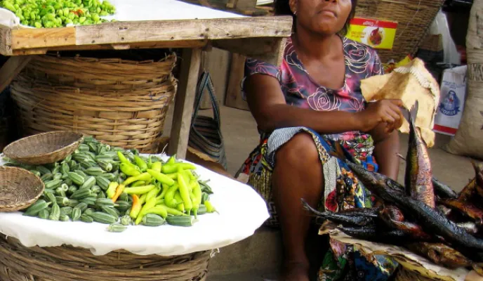 Manos Unidas ONG - Una mujer ofrece sus pescados en el mercado de Hanoukope. | Imagen: Togo - Carmen Lacalle.