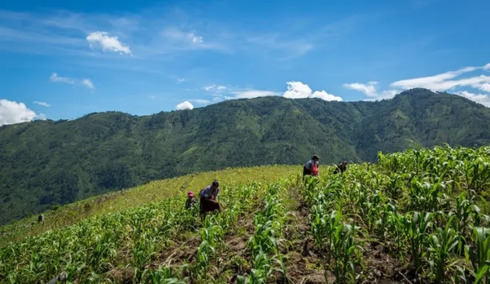 Día Mundial del Medio Ambiente. Guatemala. Foto: AFOPADI