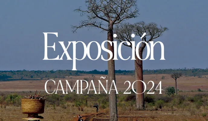 Materiales Campaña 2024 - Exposición