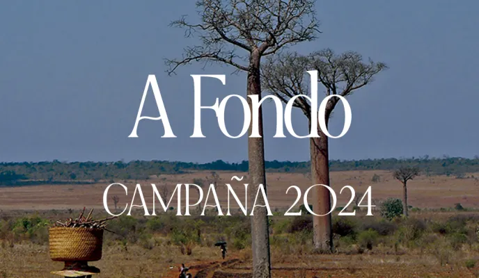 Materiales Campaña 2024 - Informe a Fondo