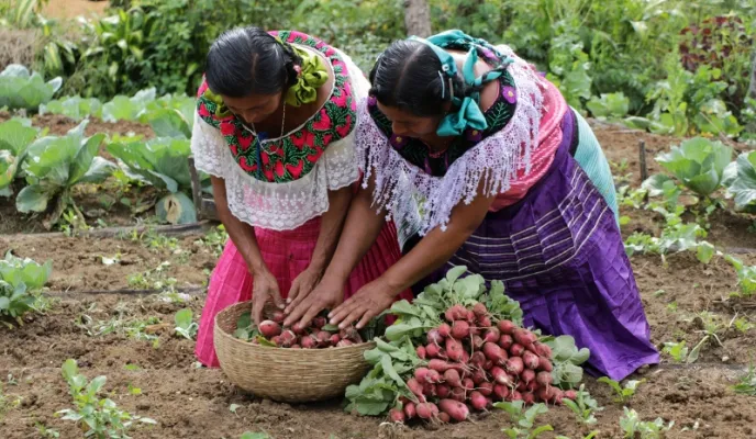 México. Foto: Manos Unidas/Javier Mármol
