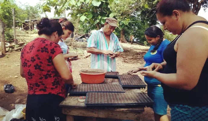 Proyecto de Manos Unidas en El Salvador 2018. Seleccion de semillas