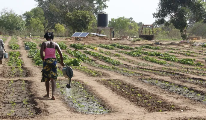 Sembrar futuro en Senegal: el reto de vivir de la tierra. Fotografía: Ana Pérez