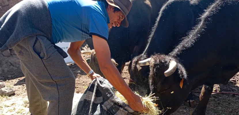 Sistemas agroecológicos frente al cambio climático en Castrovirreyna. Fase III