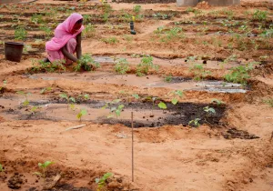 El hambre vuelve a aumentar_Foto:Manos Unidas/Myriam Sagastizabal en Mauritania