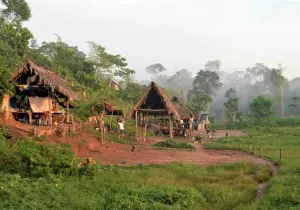 Los pueblos indígenas no solo son  guardianes de la naturaleza - Foto Instituto del Bien Común - Manos Unidas