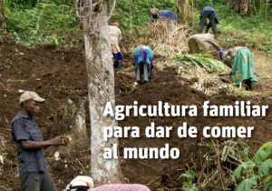 Revista de Manos Unidas nº 194