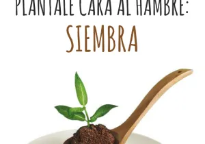 Revista de Manos Unidas nº 199