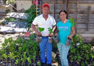“MEJORA DE LAS CONDICIONES DE VIDA DE LA POBLACIÓN CAMPESINA DE TRES MUNICIPIOS DE LAS PROVINCIAS DE AZUA Y SAN JUAN, CONSOLIDANDO SU SEGURIDAD ALIMENTARIA MEDIANTE LA IMPLEMENTACIÓN DE UN SISTEMA PRODUCTIVO AGROECOLÓGICO. Fase I”