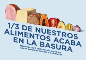 Portada Revista Manos Unidas 202