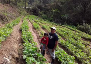 Avanzar en la sostenibilidad agroalimentaria en comunidades Lencas (Honduras)