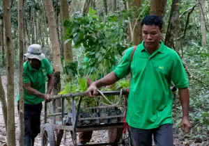 Mejora de la concienciación y activismo ecológico de la comunidad camboyana