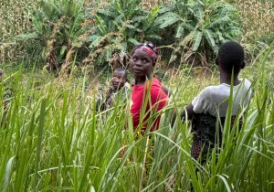 Promoción del uso sostenible del ecosistema terrestre en Mzuzu