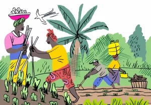 Una de las ilustraciones del dossier Garifuna