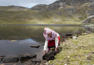 Manos Unidas impulsa en Perú un proyecto para fortalecer la agroecología y el liderazgo de las mujeres rurales 