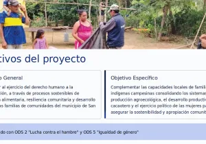 Objetivos del proyecto