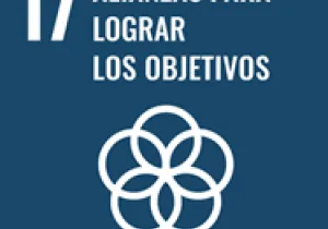 ODS 17