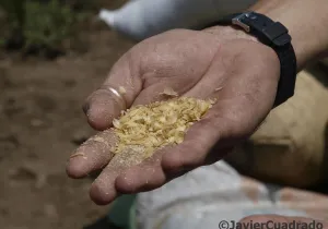 Nicaragua, proyecto agrícola