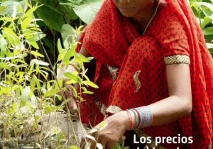 Revista Manos Unidas 203
