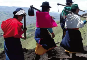 Revista de Manos Unidas nº 204