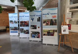 Exposición Covid-19 en los países del Sur