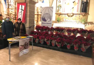 Campaña "Flor de Nadal"
