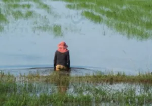 Exposición "El agua es esencial para la vida"