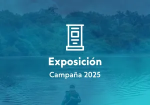 Campaña 2025 - Exposición