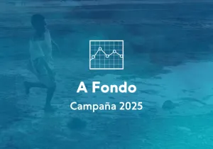 Campaña 2025 - Informe a Fondo