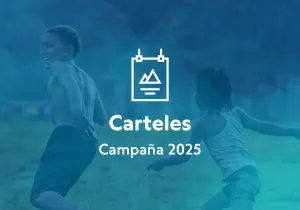 Campaña 2025 - Carteles