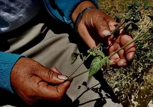 Mujer y cambio climático, en defensa de la tierra. Foto:Manos Unidas en Ecuador